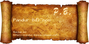 Pandur Bános névjegykártya